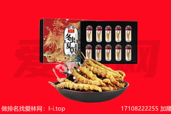 葫芦岛回收虫草.jpg